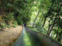 -茶颜悦色(登高路上店)