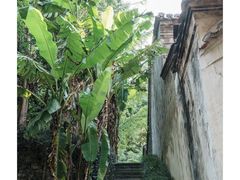 -宁波市保国寺古建筑博物馆