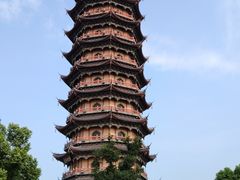 -葛仙湖公园