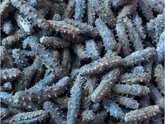 -宫品海参专卖店(静安大宁店)