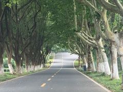 -宜兴龙背山森林公园
