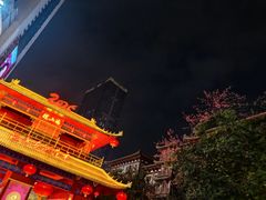-越秀西湖花市(广州城市广场花卉店)