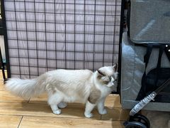 -KK ONE(京基滨河时代店)