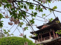-西安青龙寺遗址景区
