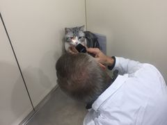 -荣耀金沙动物医院(清江西路店)