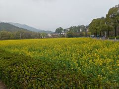 -来韶饭店