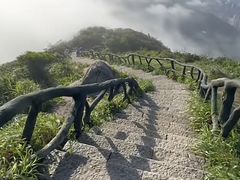 -梧桐山风景名胜区