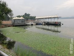 -长春市南湖公园