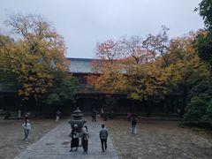 -灵谷景区