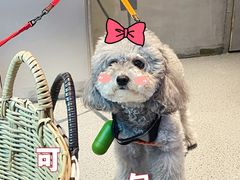 -E+有冰工厂·昆仑寒宫2(五角场店)