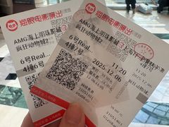 -AMG海上明珠影城(上海环球港RealDCinema店)
