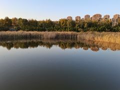 -前关湿地公园