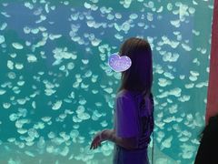 -南京金牛湖风景区