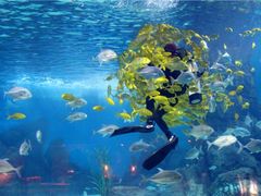 -常州海昌海洋探索馆