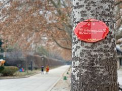 -秦始皇帝陵博物院(兵马俑)