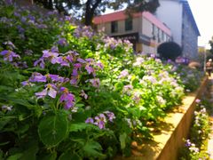 -南京工程学院(江宁校区)