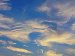 -演武大桥观景平台