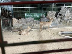 -八景休閒山莊  廣東十大名山莊