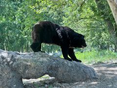 -北京野生动物园