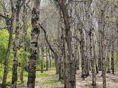 -长春市南湖公园