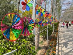 -南宫五洲植物乐园