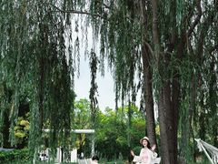 -圣露庄园·亲子活动乐园·露营·团建婚礼