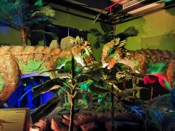 -恐龙探索乐园(磁器口店)