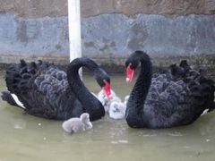 -金桥现代产业园区-停车场