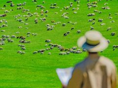 -呼和诺尔旅游景区