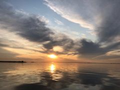 -白渔泡湿地公园