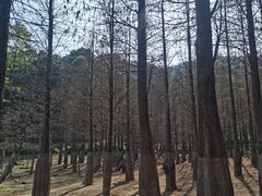 -广州市帽峰山景区