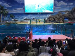 -福州罗源湾海洋世界旅游区