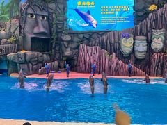 -珠海长隆海洋王国