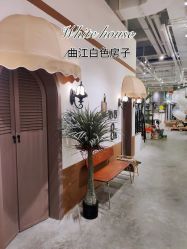 -好看加白色房子