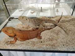 -中海环宇荟