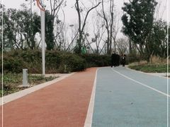 -白鹭湾湿地公园