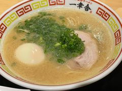 博多屋台拉面-博多舍楽(金利来店)