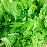 养生的孩子不可错过的简单料理