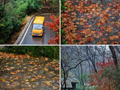 -九如山休闲旅游度假区