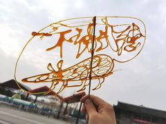 -武汉园博园(武汉自然博物馆)