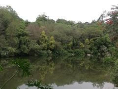 -云溪植物园