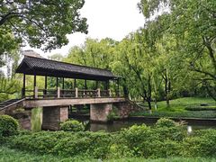 -阮氏酒家(柯桥店)