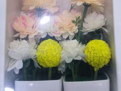 -天津市第一殡仪馆