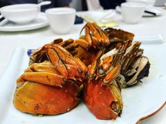 -丁老爷子苏香圆