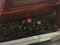 -碧露轩·大益茶体验馆(镇江路店)