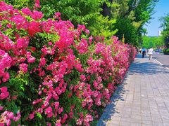 -北京展览馆