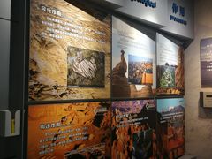 -甘肃地质博物馆