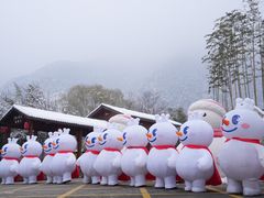-少华山国家森林公园