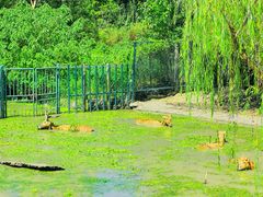 -溱湖国家湿地公园