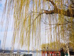 -济南大明湖景区